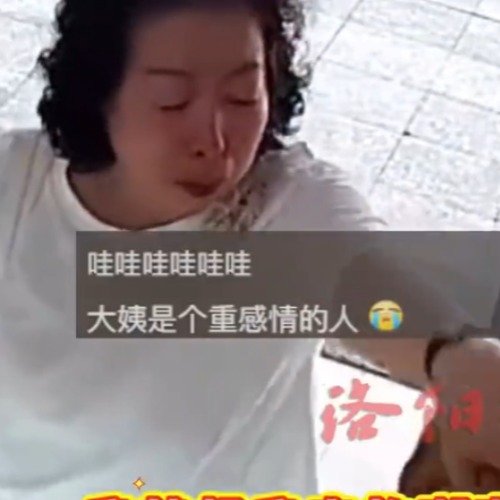 大姨见狗狗思念故犬一秒泪奔