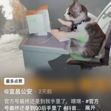 00后接管官方号开始整活了