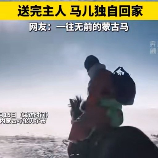 男子骑自带导航的马儿上班