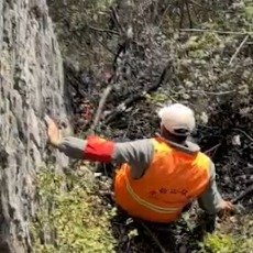 云台山环卫师傅翻悬崖帮游客捡手机