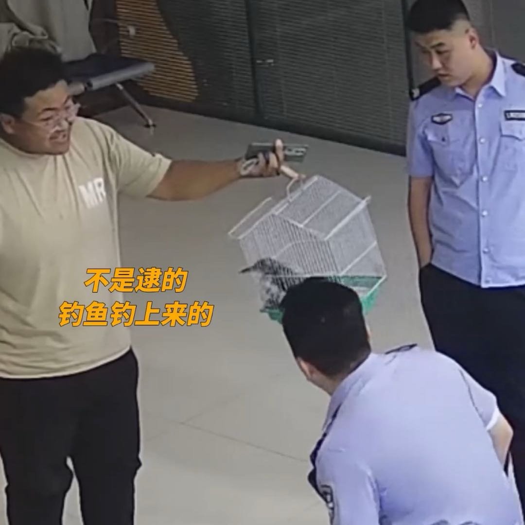 男子钓鱼甩杆不小心钓到一只鸟