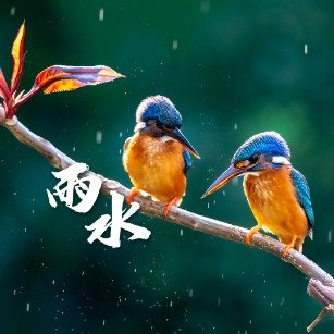 雨水和深圳的适配度有多绝