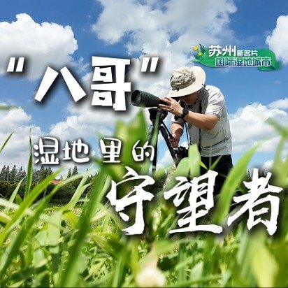 保安不断自学成为湿地护鸟人