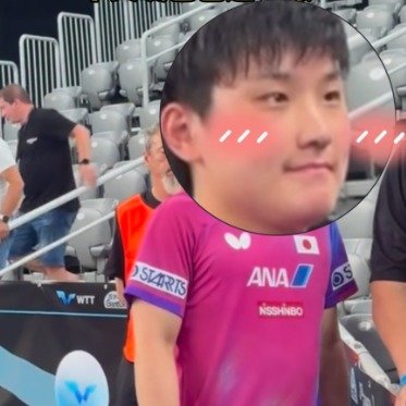 张本智和赛场中文喊爸爸递衣服