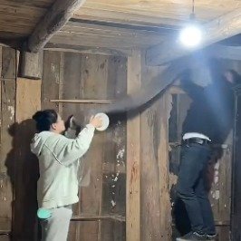 句句不提爱却处处都是爱