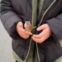 男孩捡到麻雀放飞两次都不离开