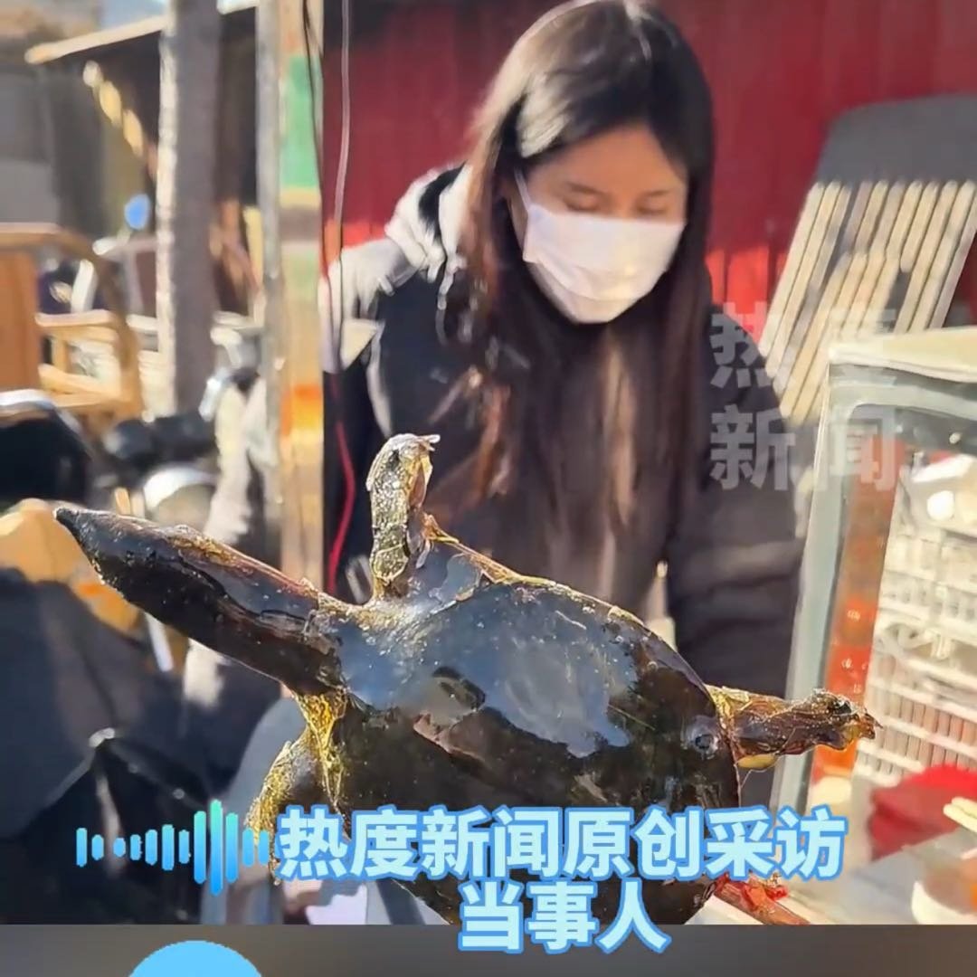 冰糖葫芦已经进化到了冰糖龟蜜了