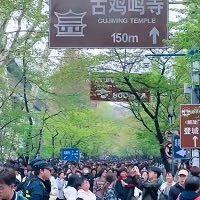 清明假期南京旅游总收入超30亿