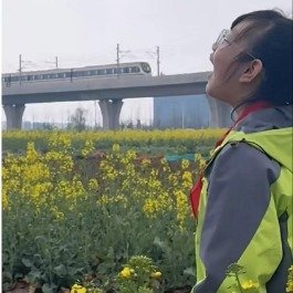 合肥油菜地吞地铁火了