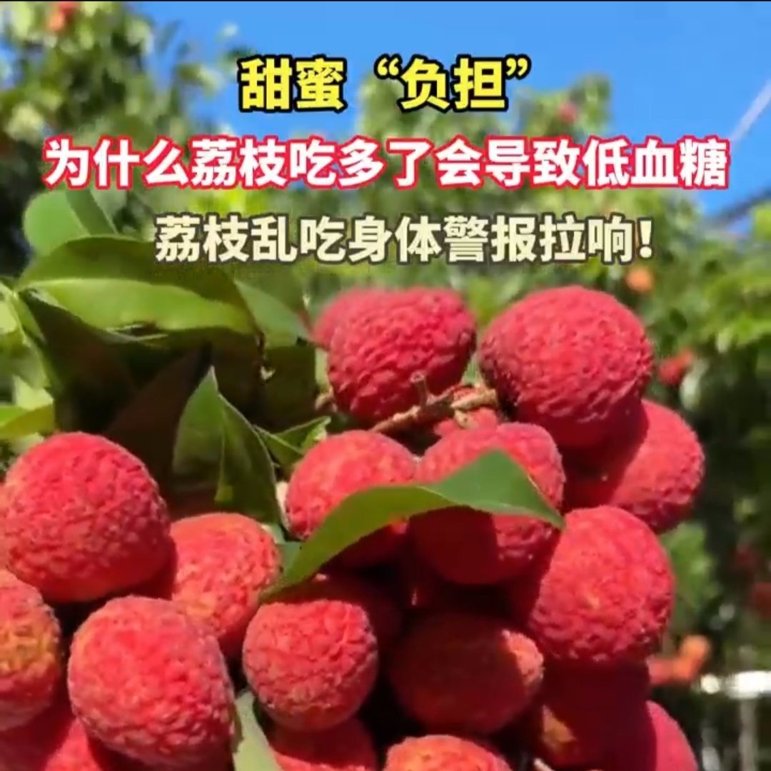 为什么荔枝吃多了会导致低血糖