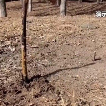 野外迷路如何科学辨别方向