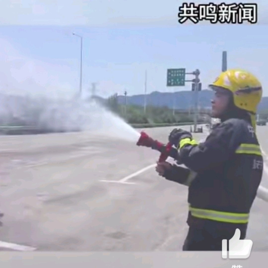 绕城高速上生猪集体中暑消防出动降温