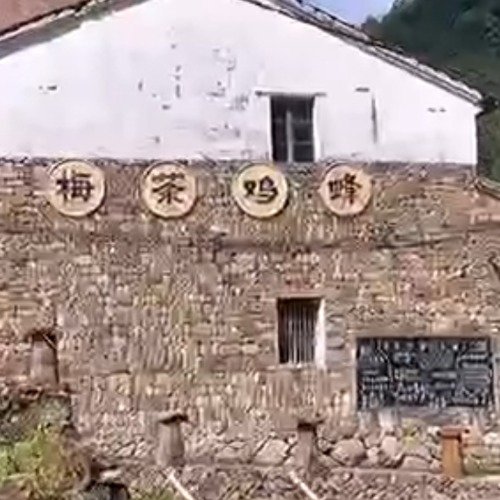浙江林坑村采蜜现场