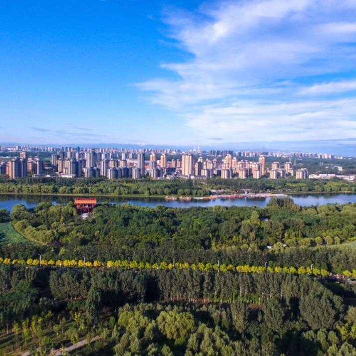北京城市副中心获批国家森林城市