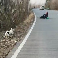 男子扶起摔倒老人并帮联系家人
