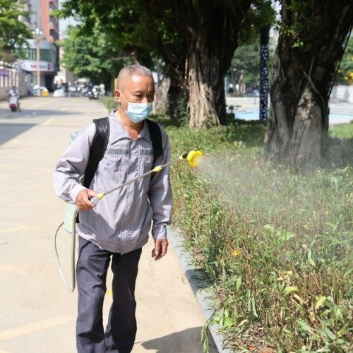 东莞各镇街纷纷放大招灭蚊