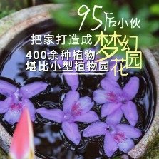 合肥95后小伙拥有一个植物园