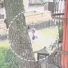 女子不慎坠河一群好心人联手救援