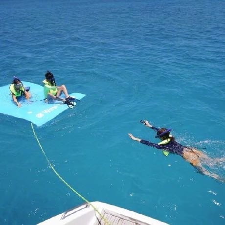 孙俪在海里呆两个多小时找海龟
