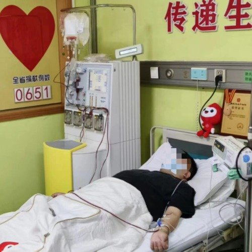 儿子获捐重生5年后父亲捐髓报恩