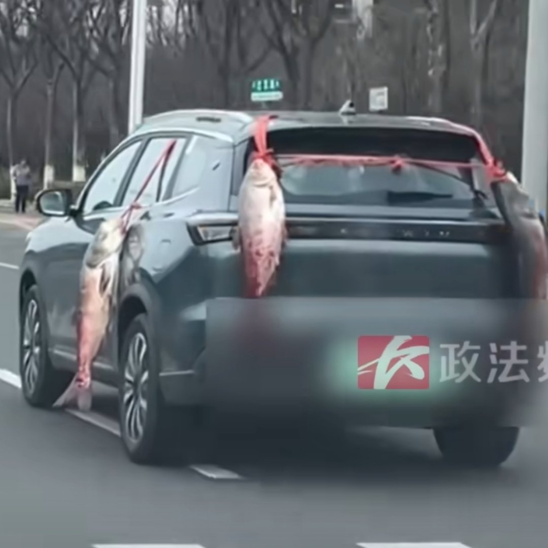 钓鱼佬车外挂3条大鱼全城巡跑