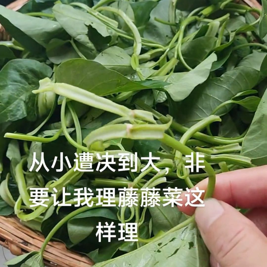 重庆一大爷理藤藤菜要撕开空心