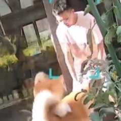 小伙用狗水盆浇花遭扑咬