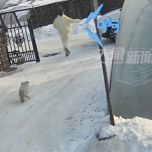 女孩被小姨家狗撵边跑边喊妈