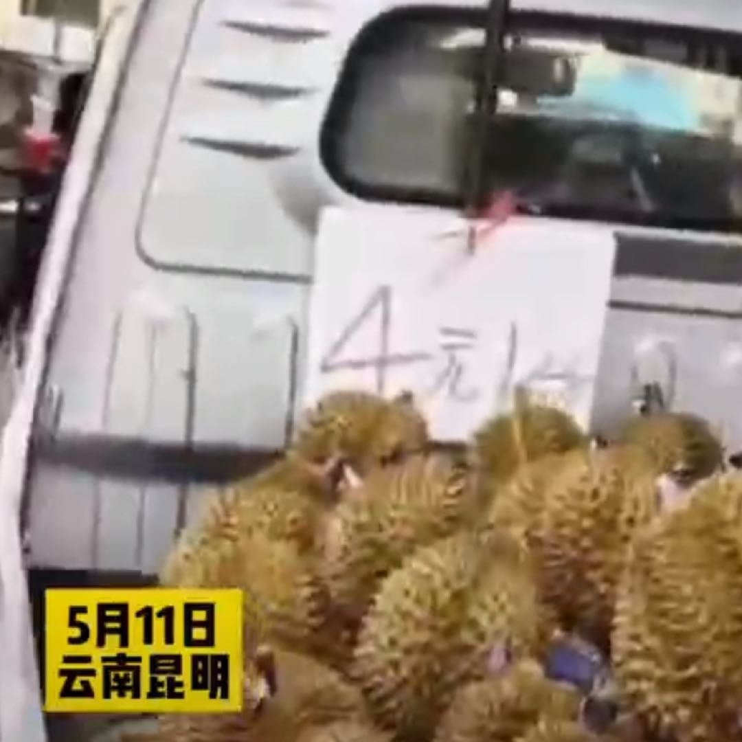 男子在昆明发现4元1公斤的榴莲