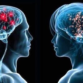 科学家发现男女大脑显著认知差异