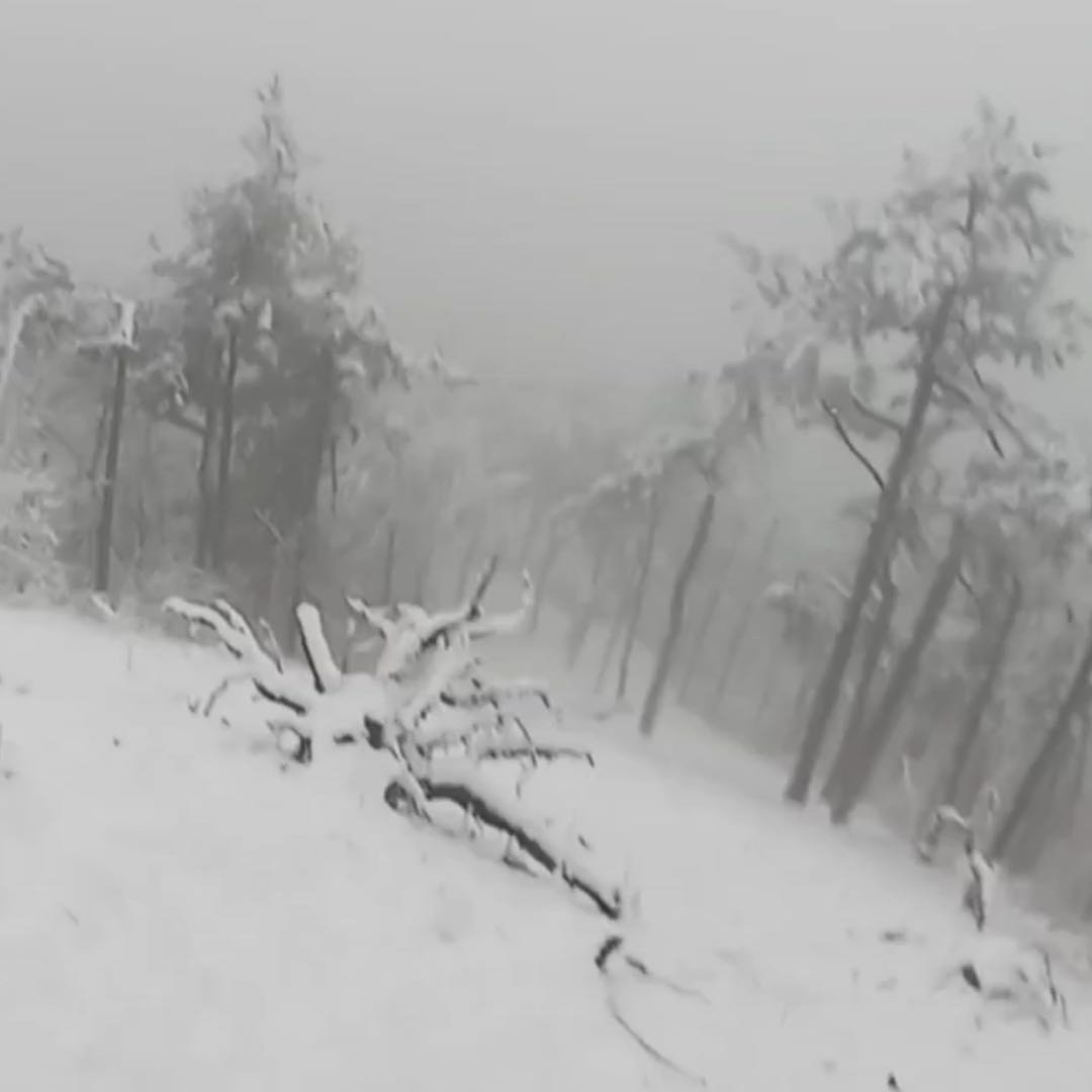 余姚驴友上山赏雪被困民辅警紧急救援