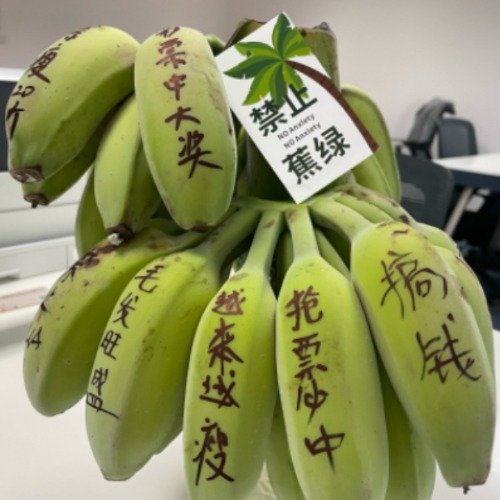 年轻人有蕉绿不焦虑