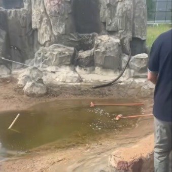 漠河边检站员工雨天打扫水池触电身亡