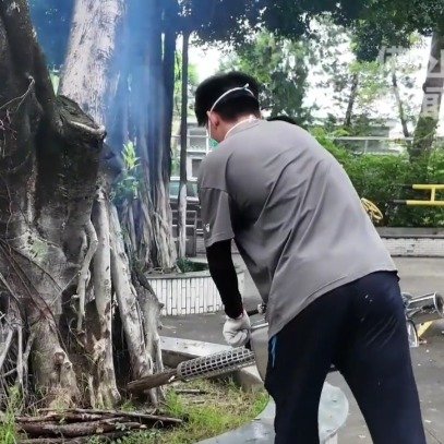佛山灭蚊攻略让蚊子见了绕路走