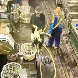 舟山远洋渔船变身菜鸟驿站