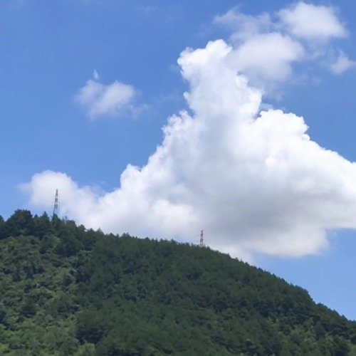 贵贵的云长得太像咱妈的战机了