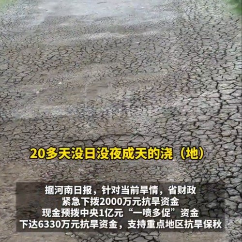 河南连续30多天无有效降雨