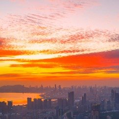深圳鱼鳞云遍布天穹美绝了