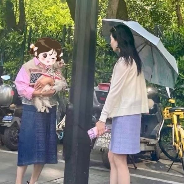 上海偶遇明星概率真的很高
