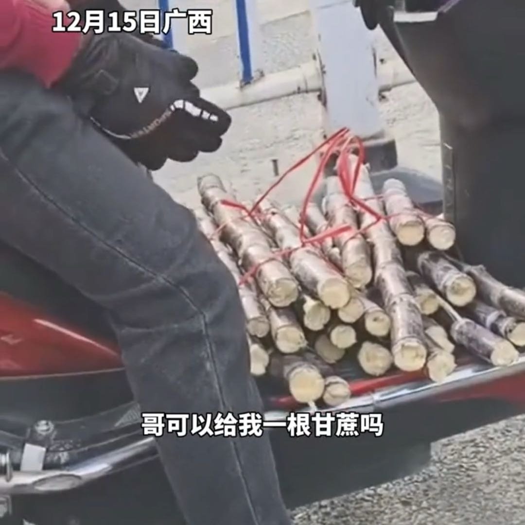 广西老表的热情已经nextlevel了