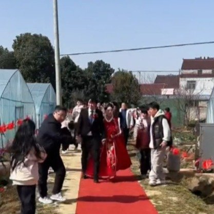 新人夫妻在自家蔬菜大棚办婚礼