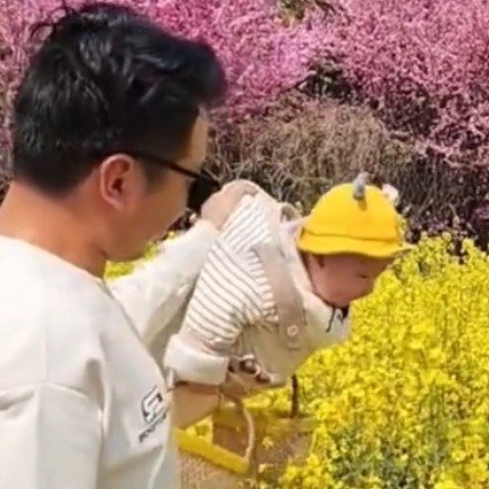 爸爸提着萌娃化身小蜜蜂赏花