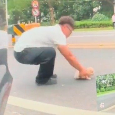 司机大货车轮下极限救狗