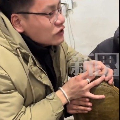 有一种疼是被甲鱼咬住不松口