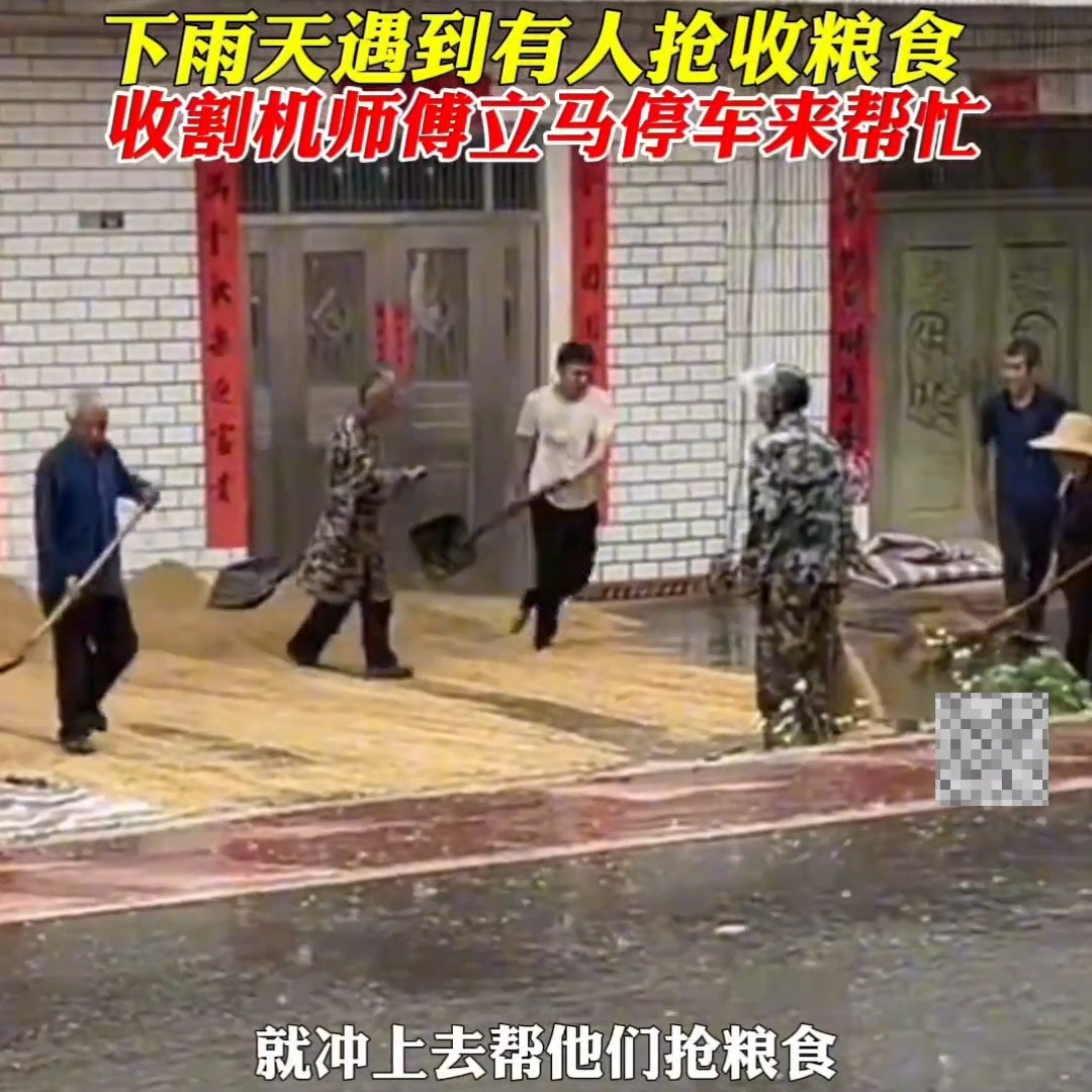 男子雨天遇农民抢收粮食立马停车帮忙