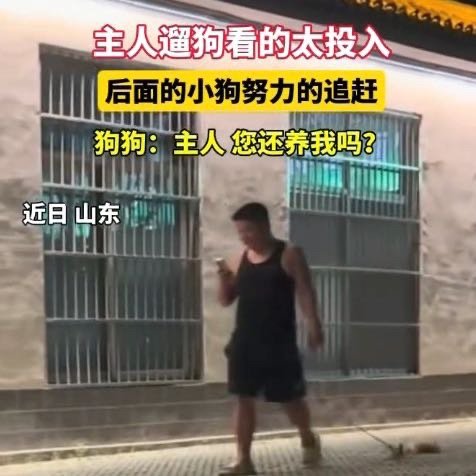 山东小狗狂奔追走神主人