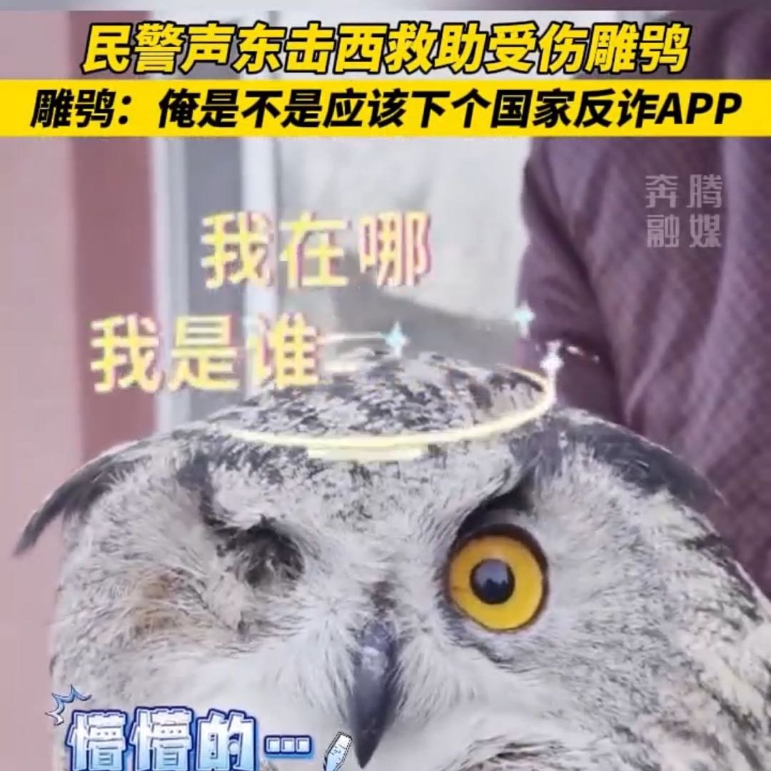 妈妈随口一句话儿子走1小时送惊喜