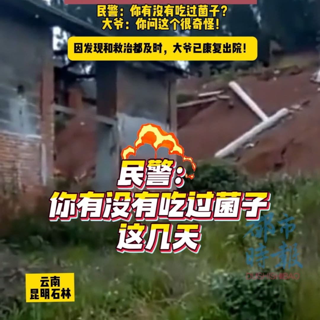 云南民警接到吃菌中毒的魔幻警情