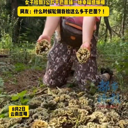 女子捡到6斤干巴菌原地打跳庆祝