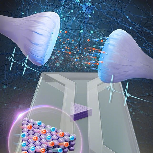 科学家创造出盐水类脑计算机